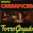 Carrapicho