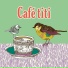 Café titi