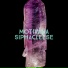 Siphacleese