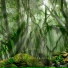 ASMR Trees Blowing in the Wind
