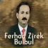 Ferhad Zîrek