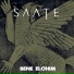 SAATE
