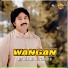 Rizwan Ali Wattakhelvi