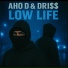 AHO D, DRI$$