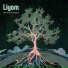 Liyom