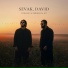 Sevak, DAVID