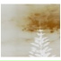 turpentine