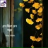 Firoz Miah