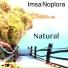 Imsa Noplora
