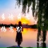 白宏哲