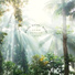 ASMR Forest Noise
