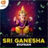 sai srikanth