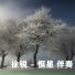 徐锐