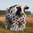 NASRANO
