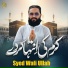 Syed Wali Ullah