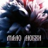 Поля Яблокова, Nick Hudin