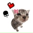withlove, vvasya, eyfect