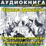 Аудиокнига в кармане, Максим Доронин