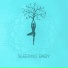 Baby Sleep Music
