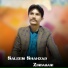 Saleem Shahzad