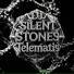 Dj Silent Stones