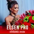 Elsen Pro