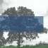 seshbluffproduction