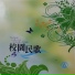 怡菁