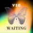 V I C