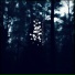 lonesomesandy