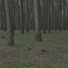 Därkman