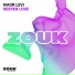 Maor Levi