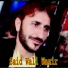 Said Wali Wazir