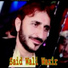 Said Wali Wazir