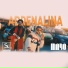 Bogdan Vodă feat. MonkZilla