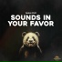 Panda Study, Panda Lofi, Panda Music