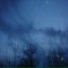 Красный переулок, Fuzzy3, Lesh ra
