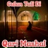 Qari Mashal