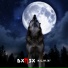 DXMSX