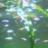 0x3