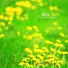 Flower Garden