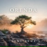 Senjidema