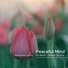 Meditation & Relaxing Piano Music Consort