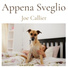 Joe Callier