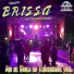 Grupo Brissa