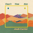 Josh Carter