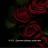 An.Mir..