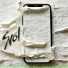 Svol