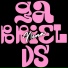 Gabriel DS