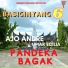 Ajo Andre, Upiak Ecilia